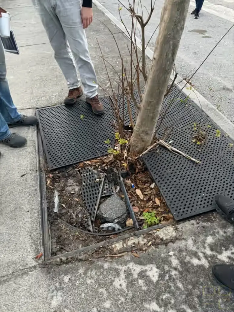 The Walk Audit Identified Concerns, Repair Needs